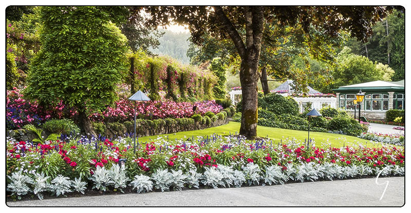 Butchart Gardens Dining Room, Gardens, and Lawn