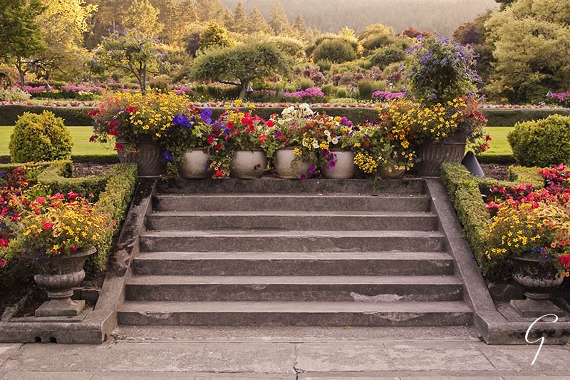 The Italian Garden Late Afternoon Light