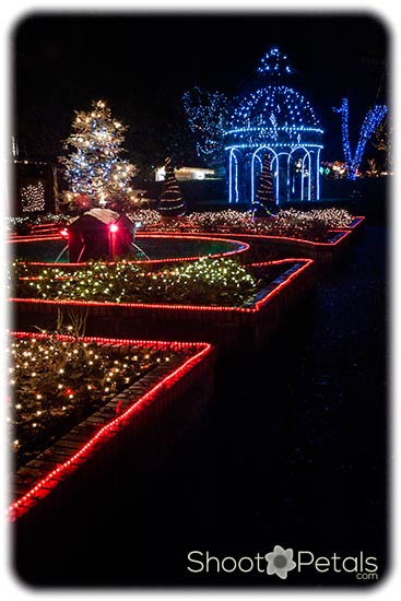 Park Tilford Festival of Lights, Rose Garden