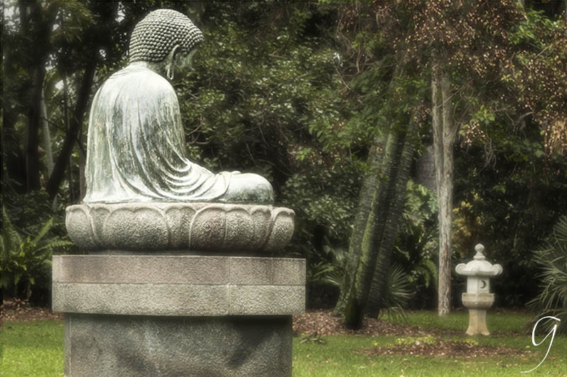 Foster Botanical Garden Buddha