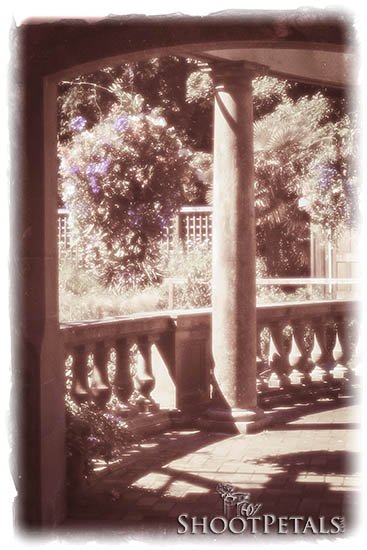 Hanging Plant in the Italian Garden At Hatley Castle