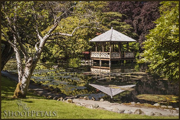 The Japanese Garden Pond and Gazebo