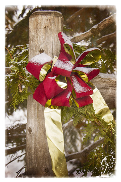 Winter Pictures Red Bow On Fence