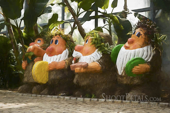 Tropical Fruits Garden 4 Dwarfs